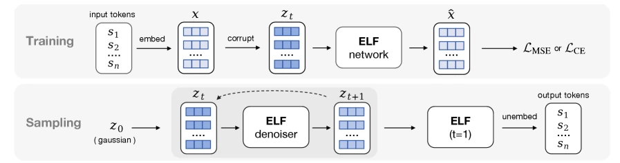 ELF training and sampling pipeline