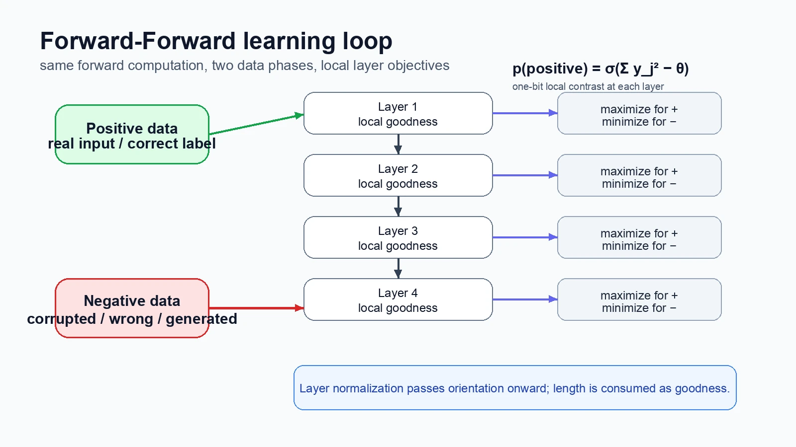 Reconstructed diagram of the Forward-Forward algorithm with positive and negative forward passes and layer-local goodness objectives