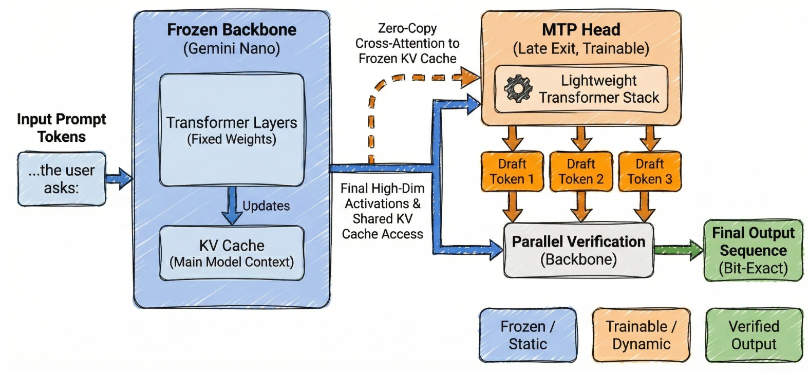 Google Research architecture figure for frozen Gemini Nano backbone with an MTP head, cross-attention to frozen KV cache, shared cache access, and parallel verification