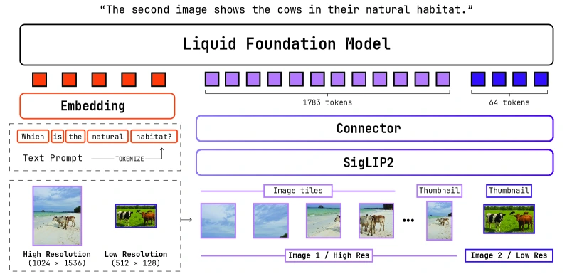 LFM2-VL architecture with SigLIP2 image encoder, tiling, connector, and LFM2 backbone