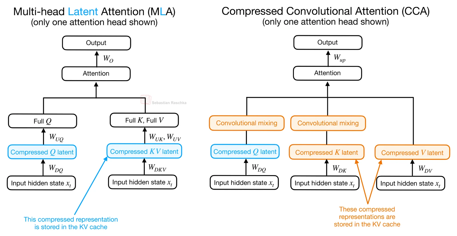 MLA vs CCA