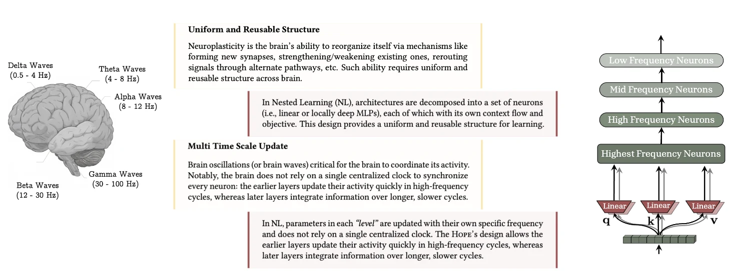 Nested Learning inspiration and continuum memory