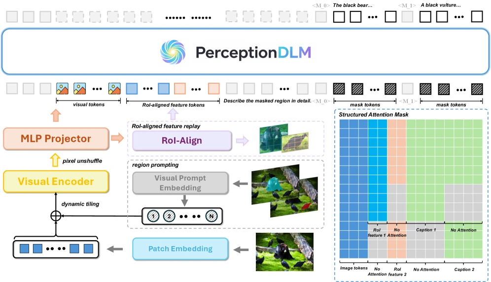 PerceptionDLM architecture