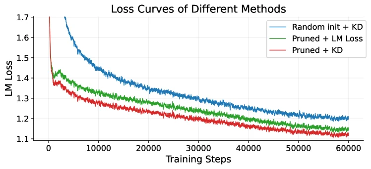 SlimQwen training loss curves