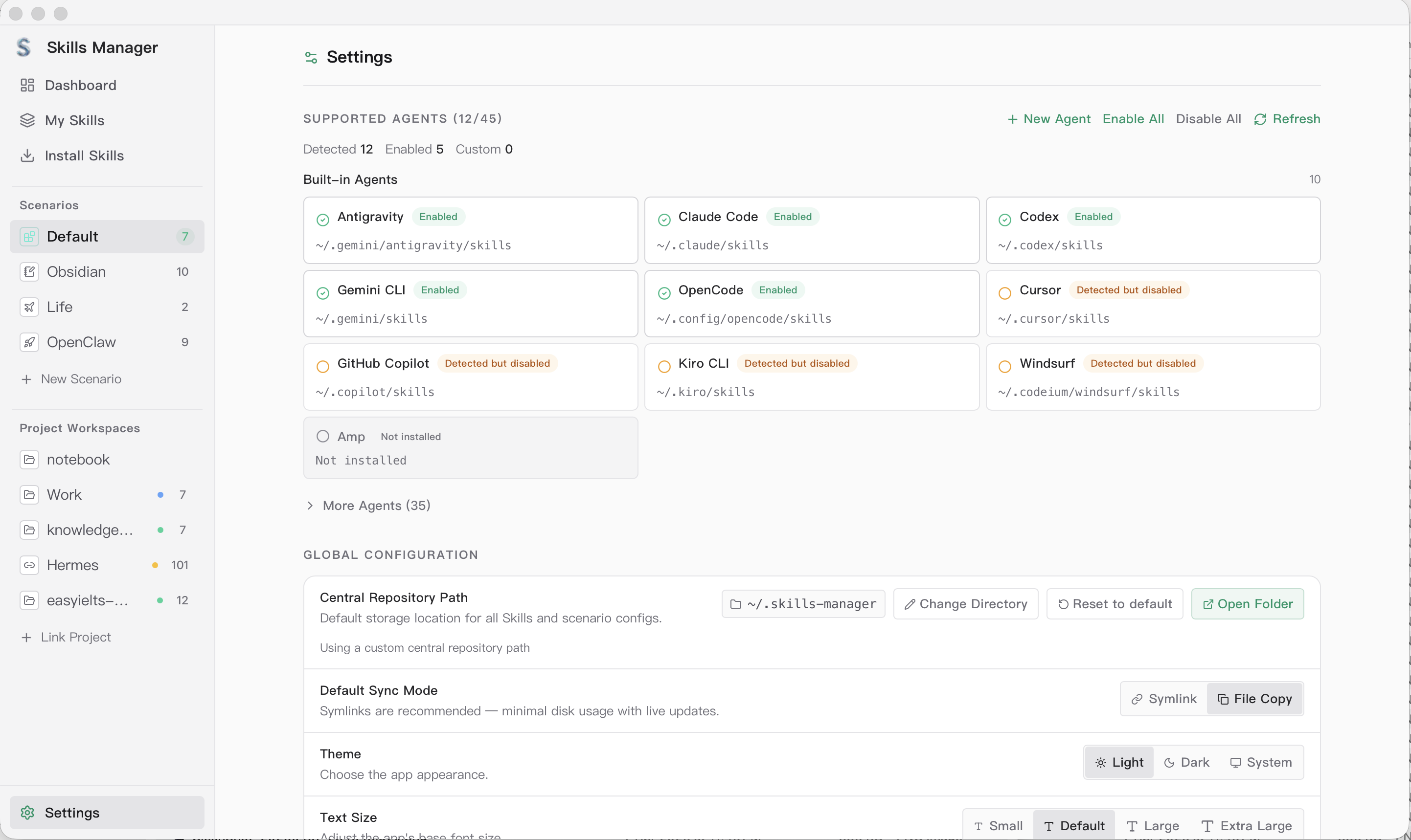 Skills Manager Settings 화면