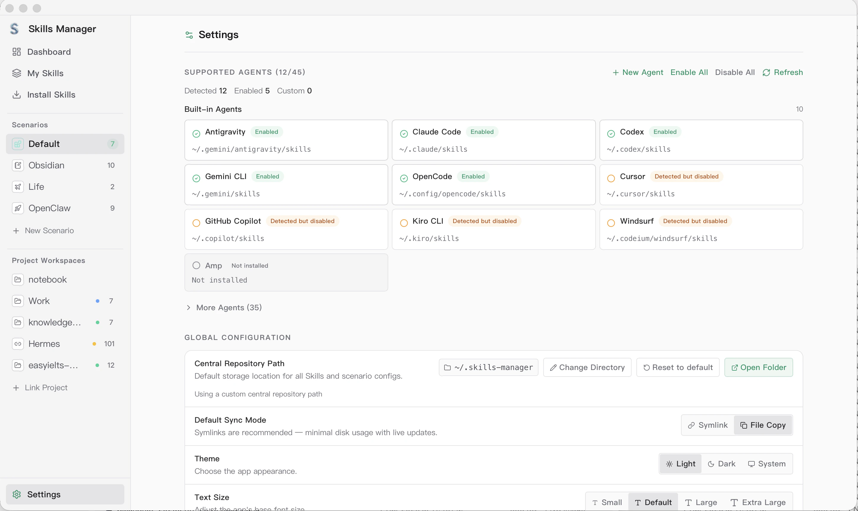 Skills Manager Settings 화면